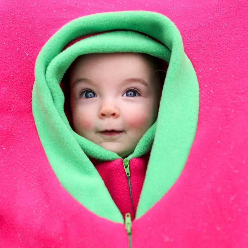 Cozy Cover Hot Pink with Birdies - Car Seat Cover