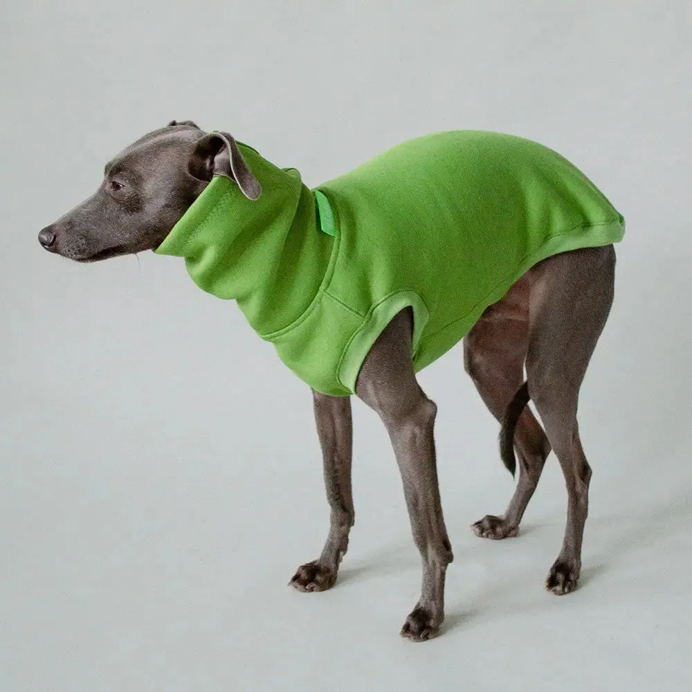 Dogsweater "COZY" - green