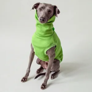 Dogsweater "COZY" - green