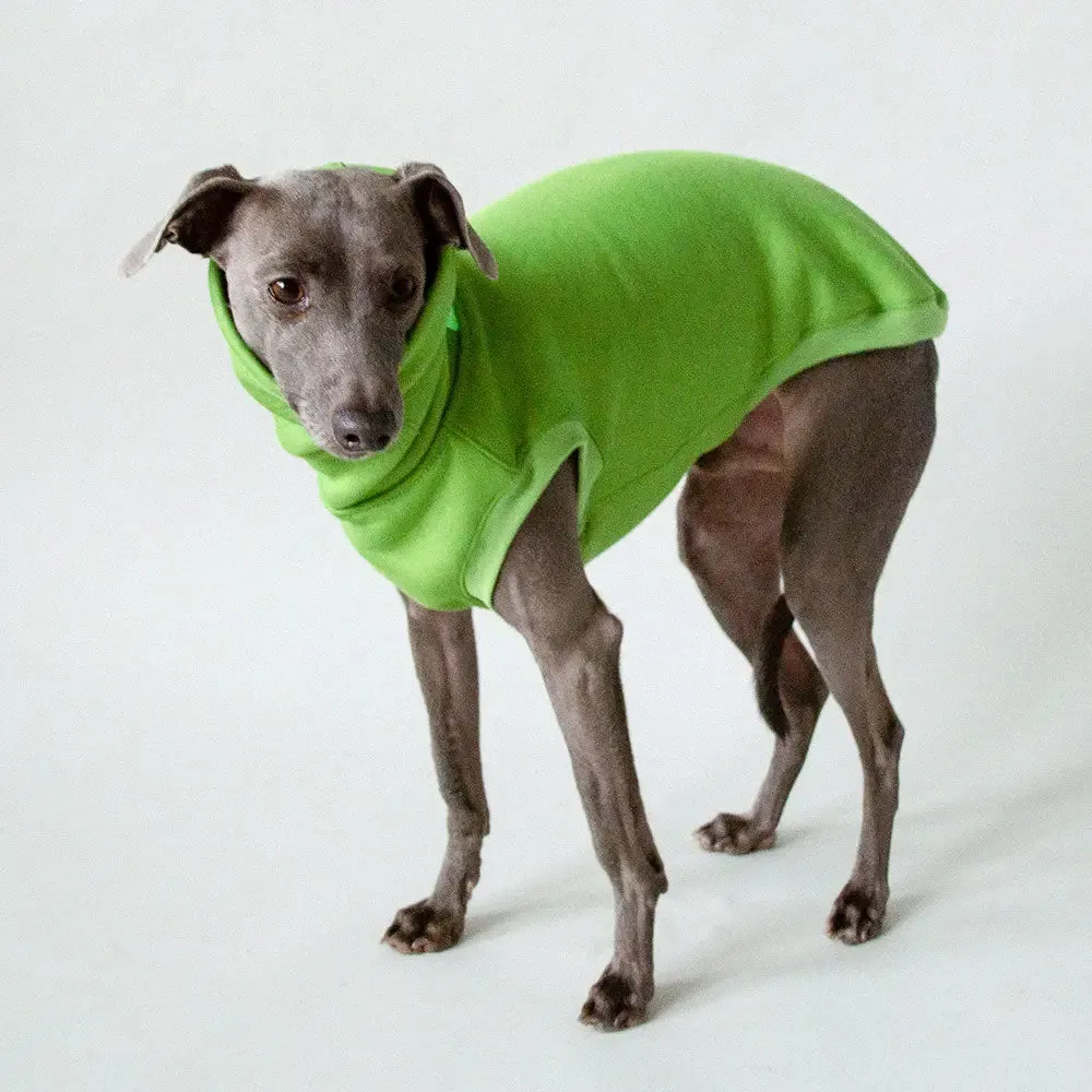 Dogsweater "COZY" - green